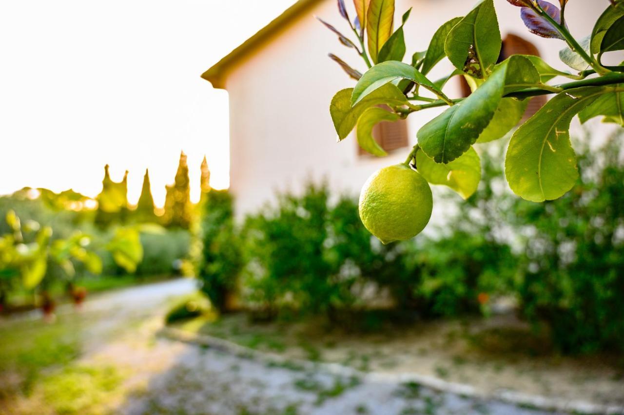 B&B Villa Giulia Сатурния Экстерьер фото